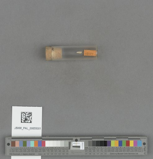 NSF ADBC EPICC TCN