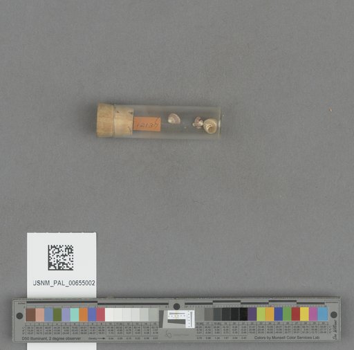 NSF ADBC EPICC TCN