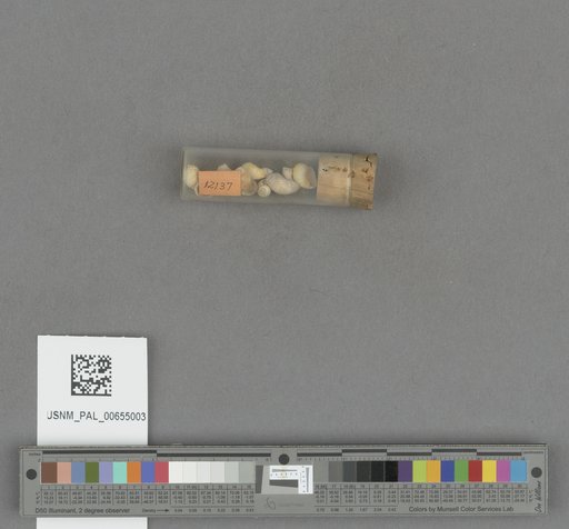 NSF ADBC EPICC TCN