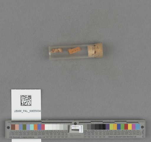NSF ADBC EPICC TCN