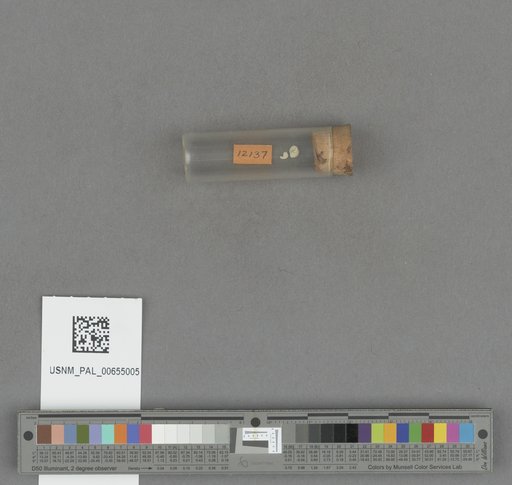 NSF ADBC EPICC TCN