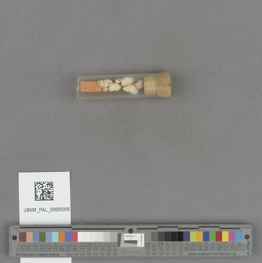 NSF ADBC EPICC TCN