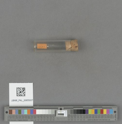NSF ADBC EPICC TCN
