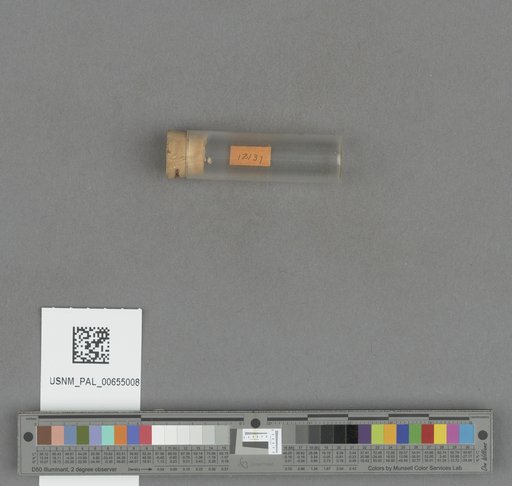 NSF ADBC EPICC TCN