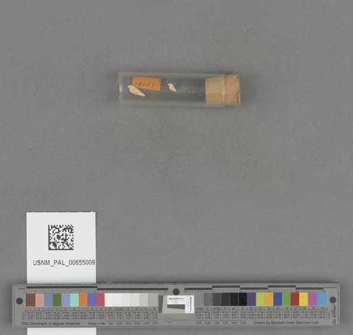 NSF ADBC EPICC TCN