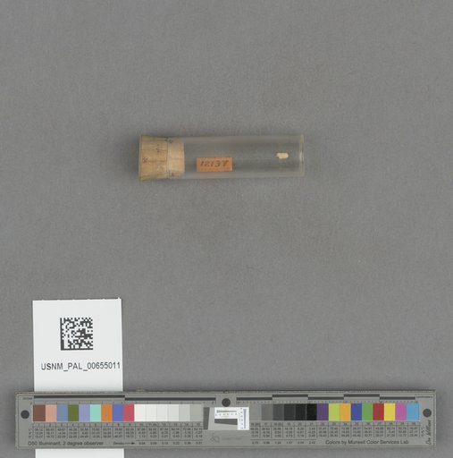 NSF ADBC EPICC TCN