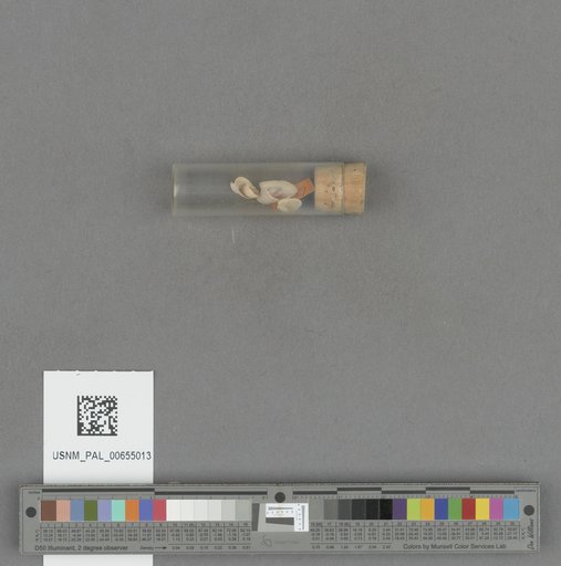 NSF ADBC EPICC TCN