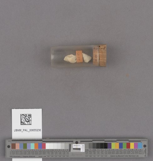 NSF ADBC EPICC TCN