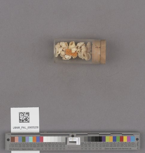 NSF ADBC EPICC TCN