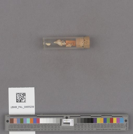 NSF ADBC EPICC TCN