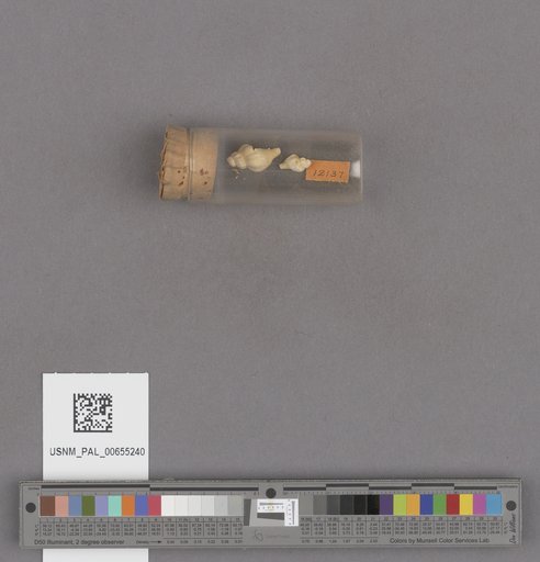 NSF ADBC EPICC TCN