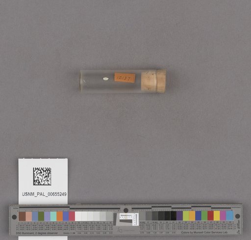NSF ADBC EPICC TCN