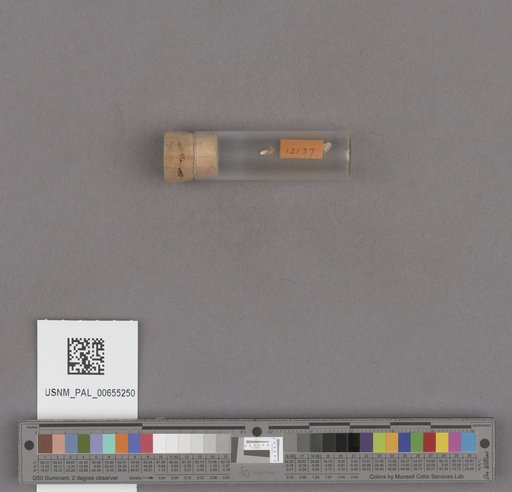 NSF ADBC EPICC TCN