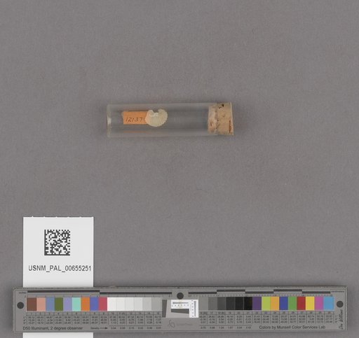 NSF ADBC EPICC TCN