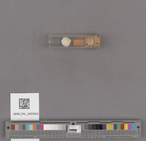 NSF ADBC EPICC TCN