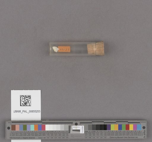 NSF ADBC EPICC TCN