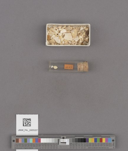 NSF ADBC EPICC TCN