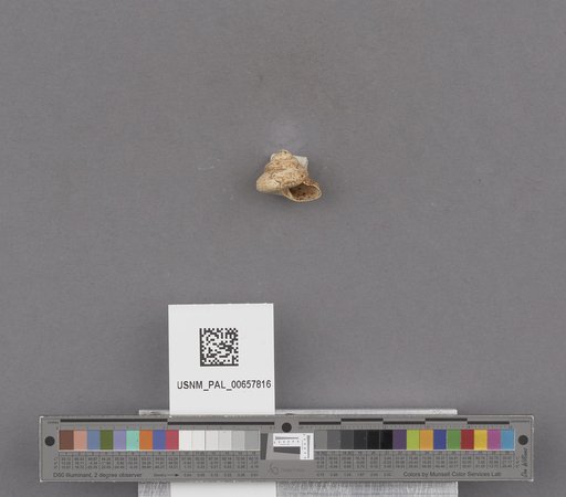 NSF ADBC EPICC TCN
