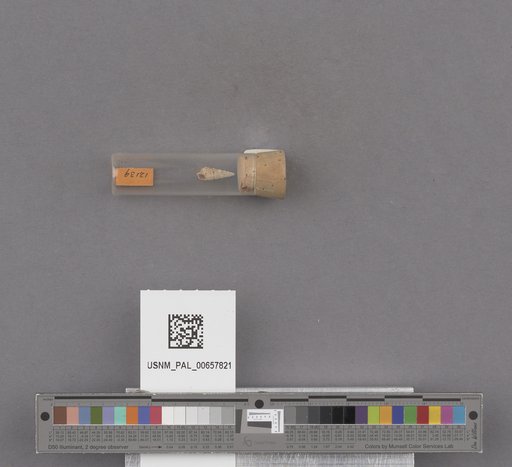 NSF ADBC EPICC TCN