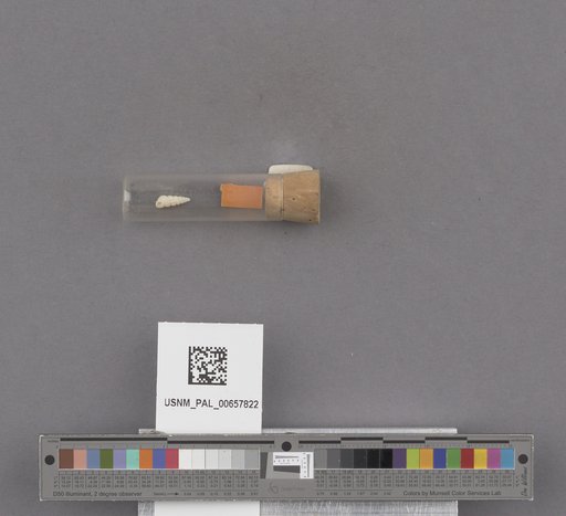 NSF ADBC EPICC TCN