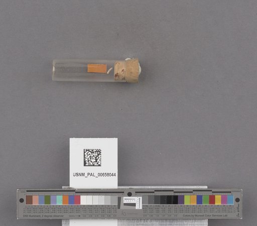 NSF ADBC EPICC TCN