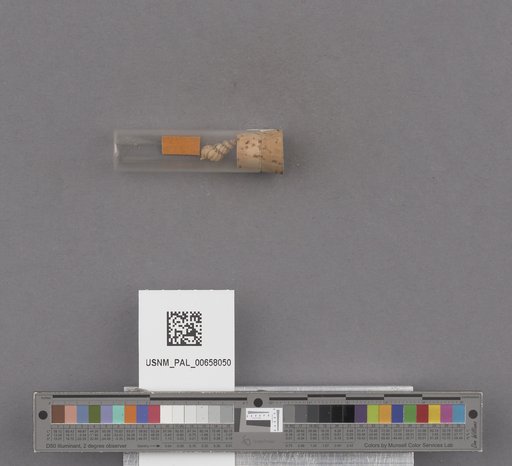 NSF ADBC EPICC TCN