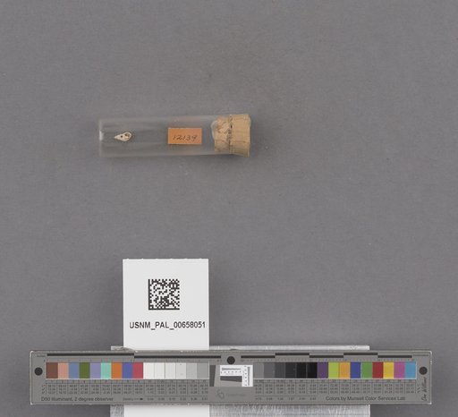 NSF ADBC EPICC TCN
