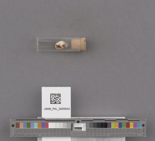 NSF ADBC EPICC TCN