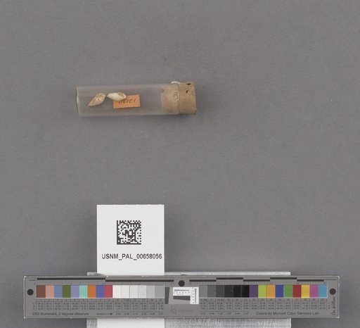 NSF ADBC EPICC TCN