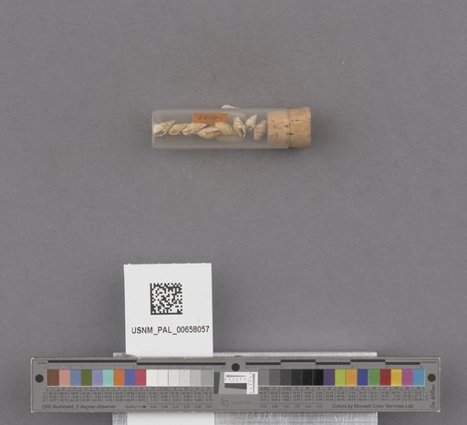 NSF ADBC EPICC TCN