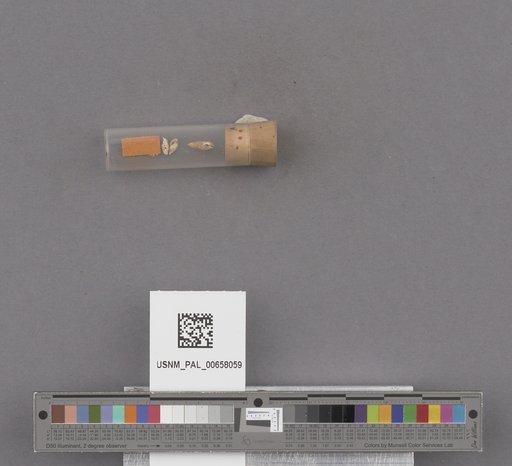 NSF ADBC EPICC TCN