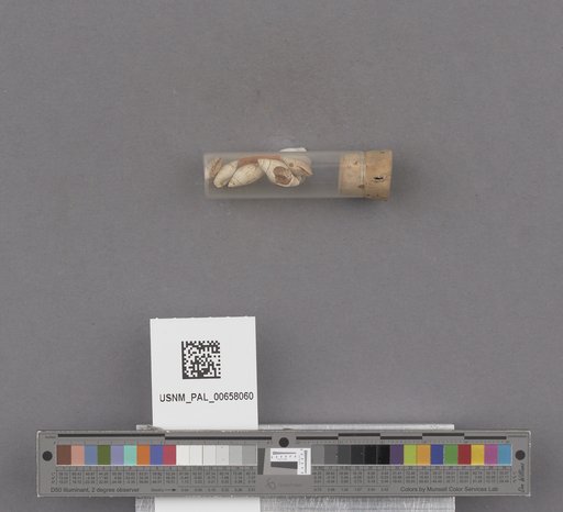 NSF ADBC EPICC TCN