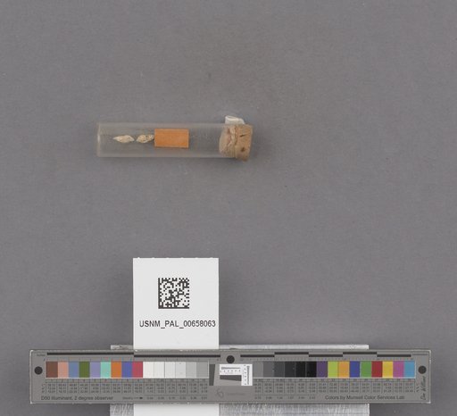 NSF ADBC EPICC TCN