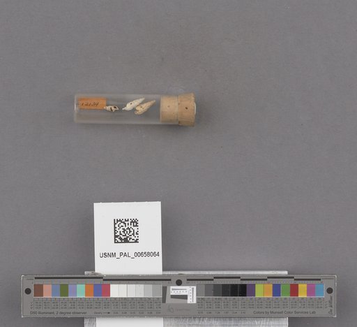 NSF ADBC EPICC TCN