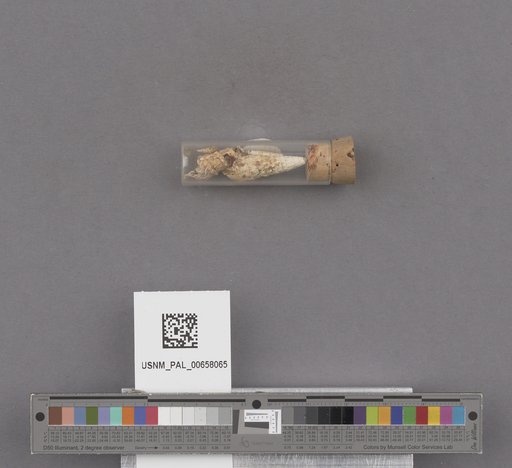 NSF ADBC EPICC TCN