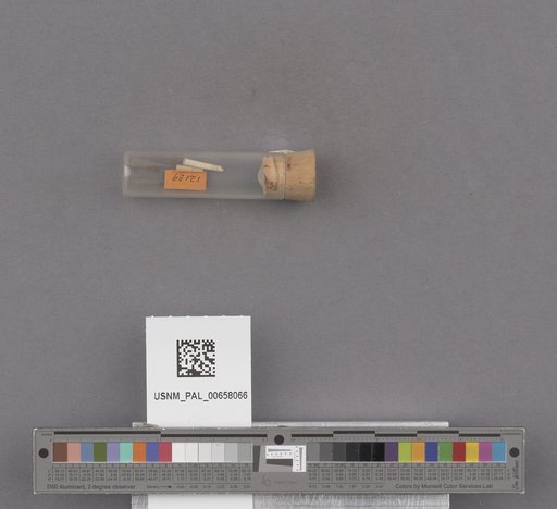 NSF ADBC EPICC TCN