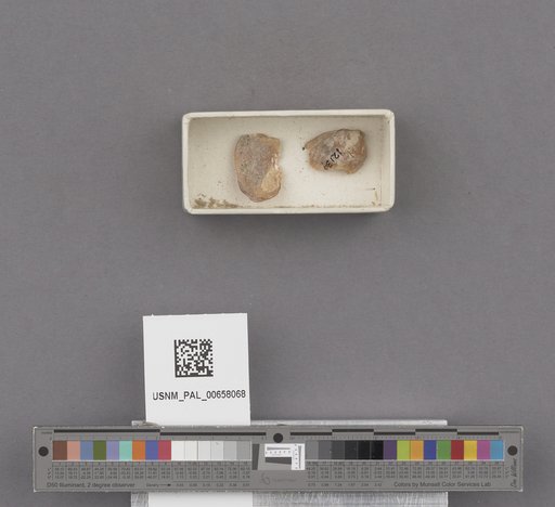 NSF ADBC EPICC TCN