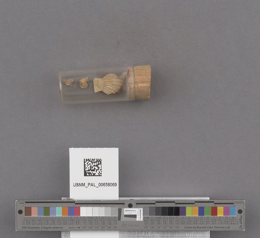 NSF ADBC EPICC TCN