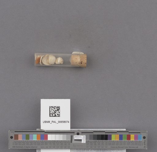 NSF ADBC EPICC TCN