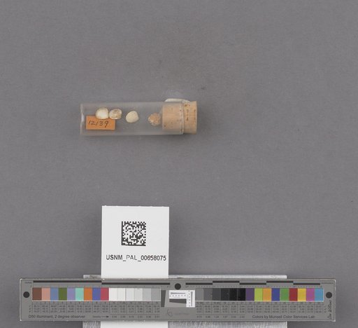 NSF ADBC EPICC TCN