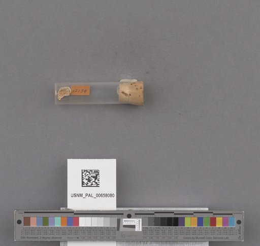 NSF ADBC EPICC TCN
