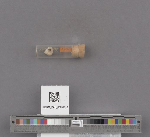 NSF ADBC EPICC TCN