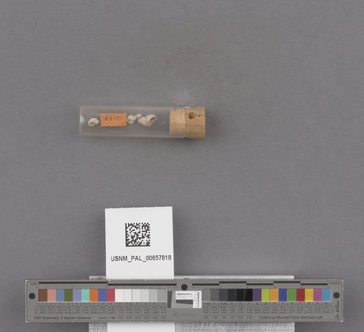 NSF ADBC EPICC TCN