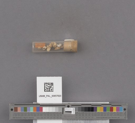 NSF ADBC EPICC TCN