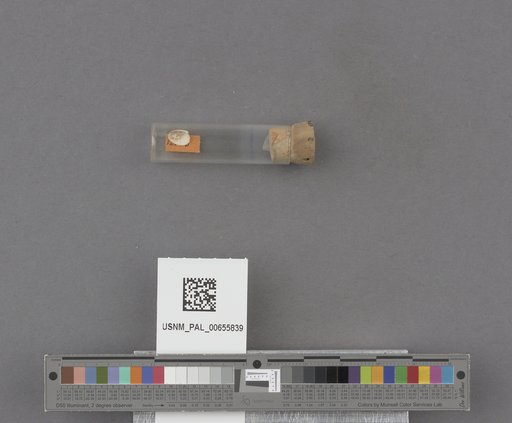 NSF ADBC EPICC TCN