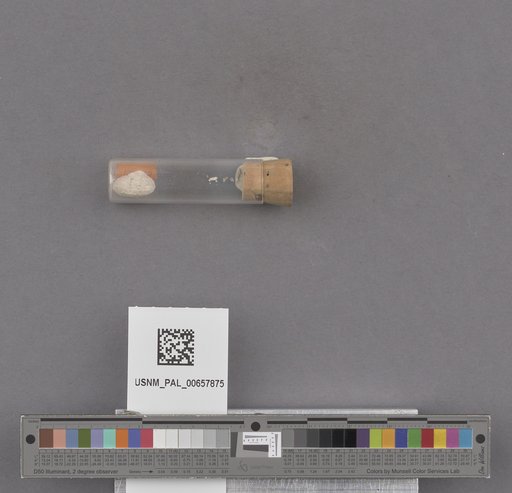 NSF ADBC EPICC TCN