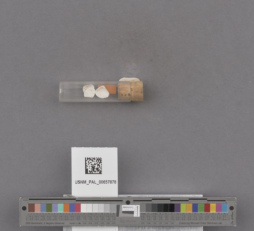 NSF ADBC EPICC TCN