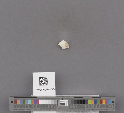 NSF ADBC EPICC TCN