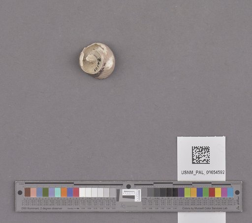 NSF ADBC EPICC TCN