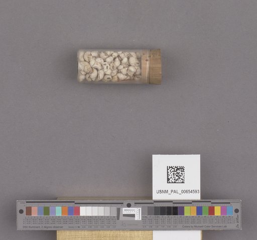 NSF ADBC EPICC TCN